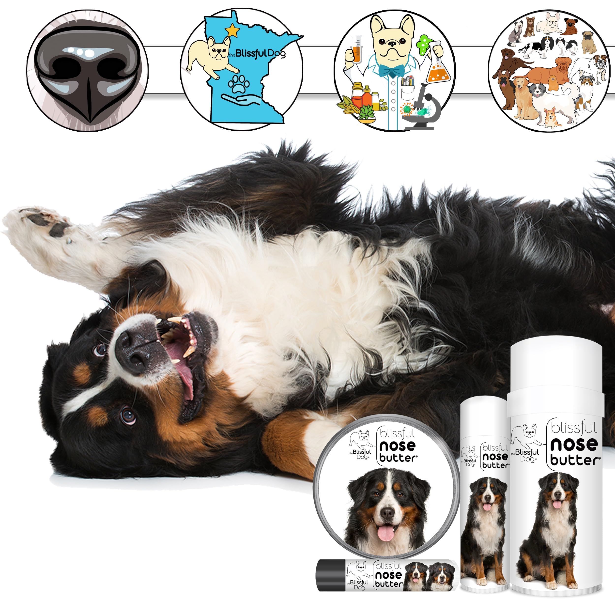 The Blissful Dog Bernese Mountain Dog Unscented Nose Butter - Dog Nose Butter, 4 Ounce